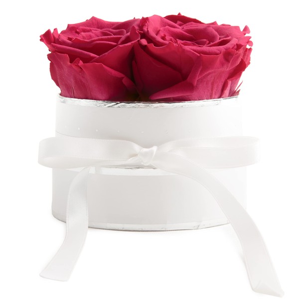 Rosmarie Schulz Heidelberg Rose Box, White Round Infinity Rose, Flower Box Preserved Rose
