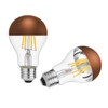 KarlunKoy Half Chrome Light Bulbs,Half Brown Tipped Dimmable 6W (Equivalent