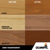 Olympic WaterGuard 1 gal. Acorn Brown Semi-Transparent Wood Stain and