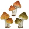 Mushroom Clip Ornaments - Set of 3 Woodland Mushroom Decorations
