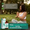 IBShield Tincture 100ml | 6+3=9 Herbs | Iberis Amara, Peppermint,