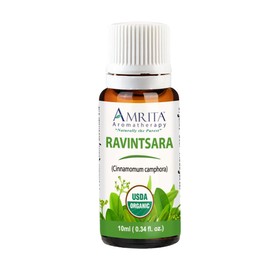 Amrita Aromatherapy Ravintsara (Cinnamomum camphora) Essential Oil, 100% Pure Undiluted Cinnamomum Camphora, Premium Aromatherapy Oil, Tested and Verified, USDA Organic, 10ml