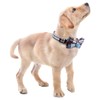 Faleela Soft &Comfy Bowtie Dog Collar,Detachable and Adjustable Bow Tie