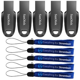 SanDisk 32GB Ultra Curve USB 3.2 Gen 1 Flash Drive (5 Pack) - SDCZ550-032G-G46 - Bundle with (5) Everything But Stromboli Lanyards