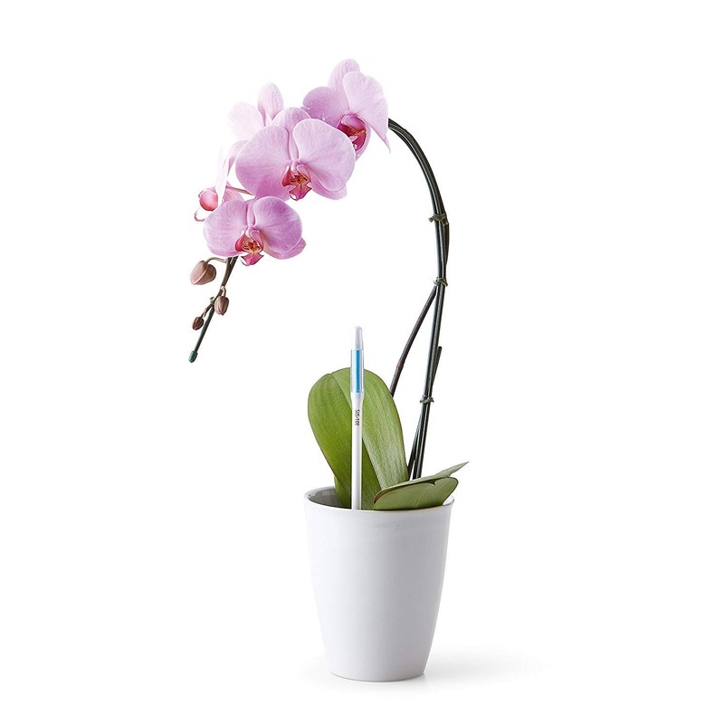 Sustee Medium Refillable Insert Aqua Meter (White) with Core Installed