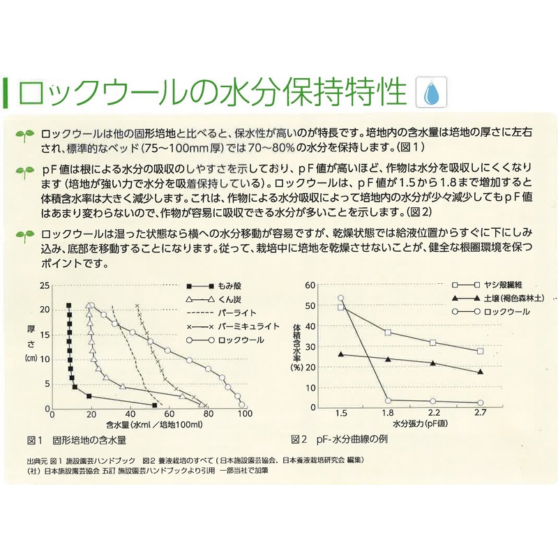 yasai is Cultivation (Made) (50H X W x 75l) 12 Pack