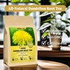 FullChea - Dandelion Root Tea Bags, 100 Teabags, 2.5g/bag -
