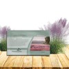 Outsidepride Pink Muhly Ornamental Grass Seeds - 100 Pcs, Perennial,