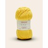 Sirdar Snuggly Replay DK Double Knitting, Good As Gold (119),