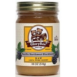 Glorybee Aunt Patty's Northwest Blackberry Honey, Raw, 18-ounce Jars (Case of 6)