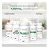 Chlorella Orgánicas (180 Caps-500 Mg) Vizana Nutrition Sin Sabor