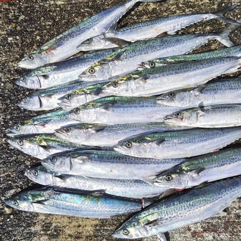 METAL ADICT type07 メタル アディクト タイプ ゼロセブン (72mm / 30g,