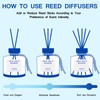 BEHAZEER Sea Salt Reed Diffuser Set, 6.77OZ(200ML) Large Capacity Natural