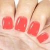 Vishine Neutral Gel Nail Polish 16ml Watermelon Red Color Jelly,