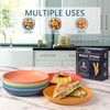 HOTEC 8-Pack 10inch BPA Free Unbreakable Deep Dinner Plates, Wheat