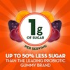 Align Prebiótico Gomitas probióticas Sabores de frutas naturales 60 CT,
