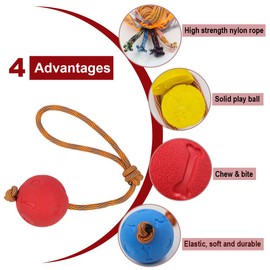 Weeyuu Rope Dog Toy, 2 Pack Ball on a Rope Dog Toys Durable Elastic Solid Rubber Balls for Fetch, Catch, Throw and Tug of War (6 cm, Red + Yellow)