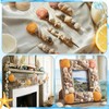 Geelin 35 Pcs Large Sea Shells Mixed Beach Seashells 35