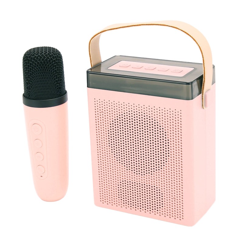 Karaoke Machine Set with RGB Light Rechargeable Bluetooth Speaker with