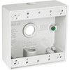 TayMac DB375WH 3/4-Inch 3 Hole 2-Gang Weatherproof Box, 3/4-Inch Outlets,