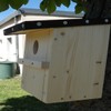 Nesting Box Garden Redstart 48/32 mm Kit