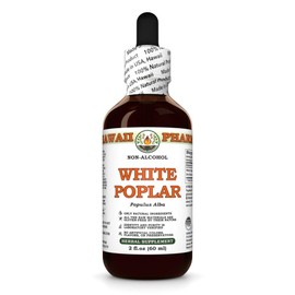 White Poplar (Populus Alba) Dry Bark Glycerite, Made in Hawaii, All Natural, Vegan, Lab Tested Alcohol-Free Liquid Extract - 2 fl.oz
