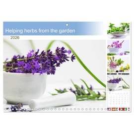 Helping herbs from the garden (Monthly Wall Calendar 2026 16.5" x 23.4" (open)), CALVENDO 14 Month Calendar