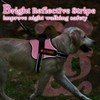 rabbitgoo Dog Harness Small Sized, No Pull No Choke Pet
