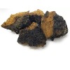 CHAGA chunk Northern Minnesota CHAGA chunks - PREMIUM MUSHROOM TEA