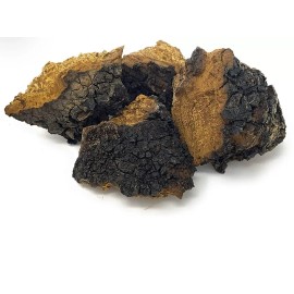 CHAGA chunk Northern Minnesota CHAGA chunks -  PREMIUM MUSHROOM TEA ORGANIC - 8.14 oz
