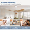 BOJUE Ceiling Fan without Light,42 Inch Modern Ceiling Fan no