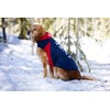Ariat Team Softshell Dog Jacket - Insulated, Water Repellant Pet