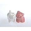 Salt Shaker in Pig Design Wedding Decoration Favours Table Decoration