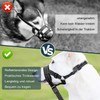 Voarge Training Harness Dog Halter Pet Muzzle, Easy Adjustment, Lightweight,