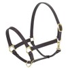 Camelot Leather Adj Stable Halter w/Snap Sckln