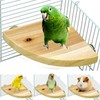 Parrot Bird Wood Perch Stand Platform Rectangle Fan-shaped Shelf Stand