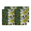 Happy Bath Dubore Lily Essence Soap 100G, 4 packs, 8 sets (32 in total) / 해피바스 두보레 백합 에센스비누100G 4입 8세트 (총32개)