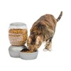 Petmate Replendish Feeder with Automatic Cat and Dog Feeder Grey,