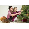 10PCS Robin Bird Christmas Tree Decoration Craft VERY CUTE Artificial