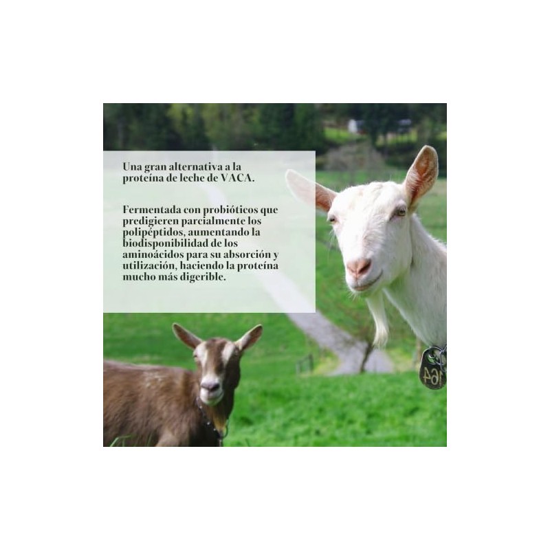 Capra Since 1928 Caprotein Proteína Caseína Concentrada Leche Cabra Fermentada