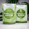 Reefertilizer® Grow and Bloom Bundle - Water Soluble Fertilizer &