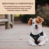 Murphy & Roxy Dog Harness - Durable, Comfortable, Breathable Mesh