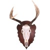 Wall Hangers European Skull Hanger Wall Mount