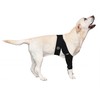 Generic Large Breathable Dog Knee Brace for Torn ACL Legs