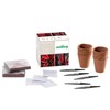 Romberg SPICY-Box Chilli & Pepper Propagation Set, Starter Set for