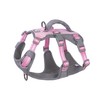 Huntboo Escape Proof Dog Harness Medium, Anti-Pull Dog Harness with