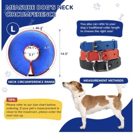 Bilibara Dog Cone Alternative After Surgery Inflatable Recovery Collar-L