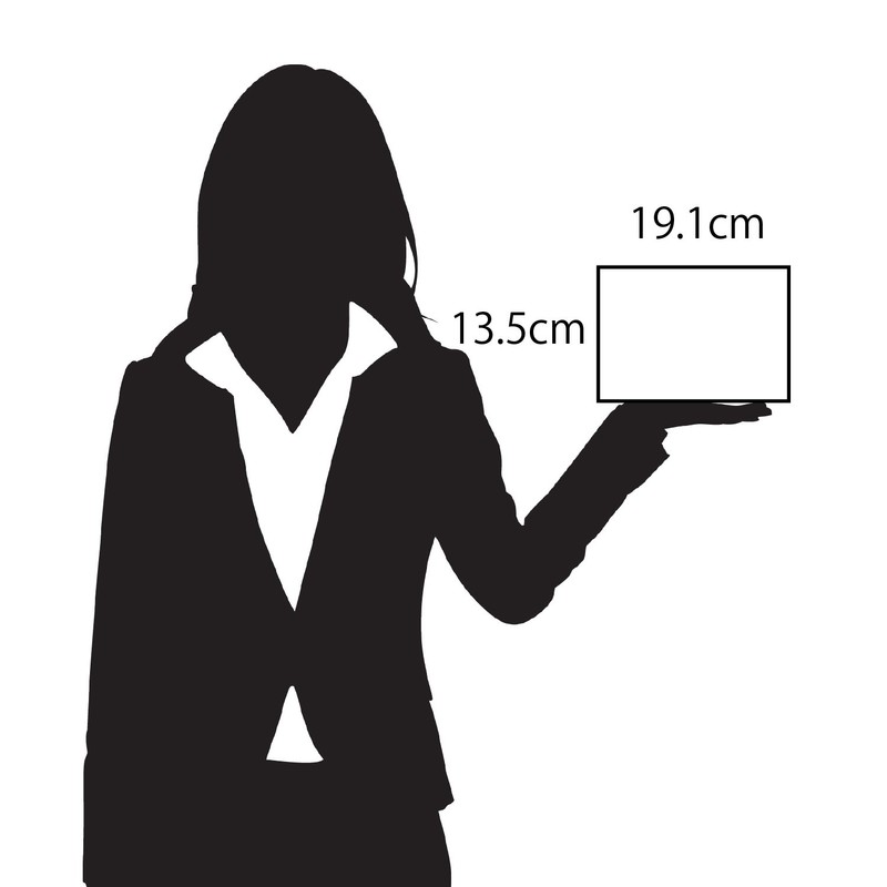 不動技研(Fudogiken) キッチン収納ケース ストックボックス キャスター付き F-2555