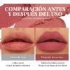 Set De 6 Labiales Handaiyan Lápiz Labial Color Rojo Mate