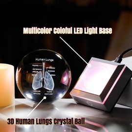 Ornalrist 3D Human Lung 3.15 in. Crystal Ball Gifts for Pulmonologists, Glass Sphere Etched Anatomical Lung Model Keepsake for Him Medical Teacher with LED Light Base